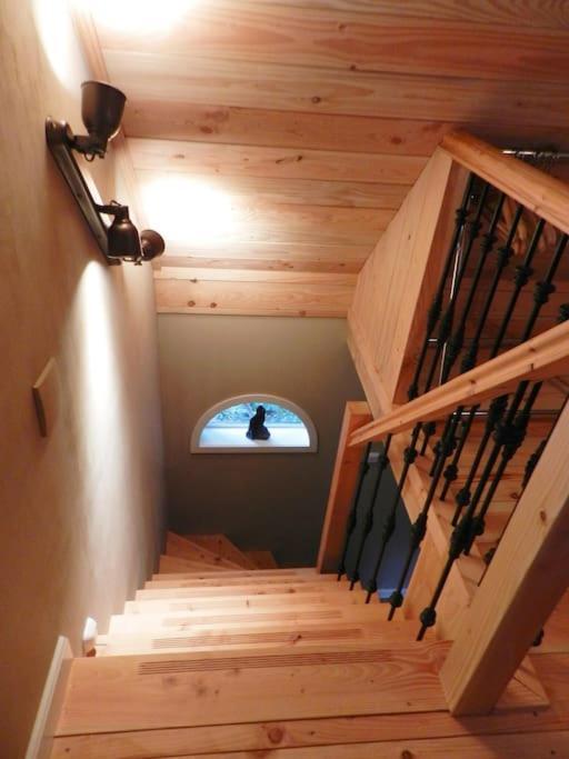 Tiny House Tholen Villa Екстериор снимка